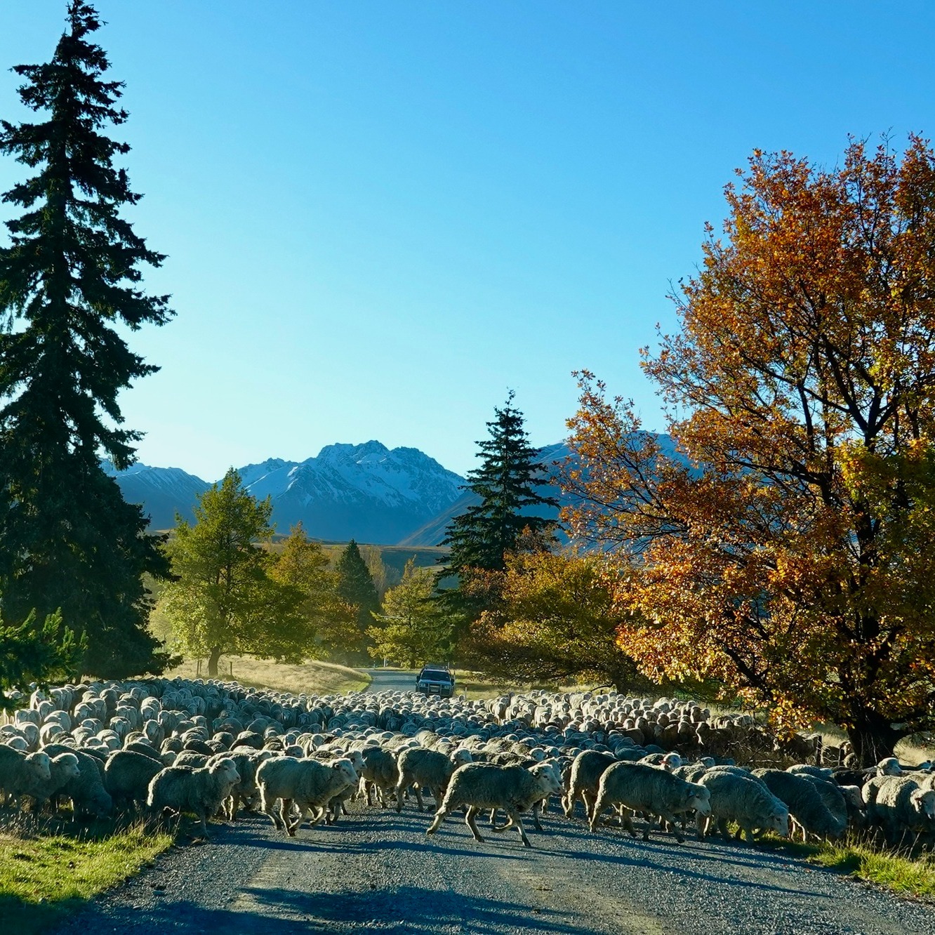 1772812929_6_New Zealand_GB_06.jpg