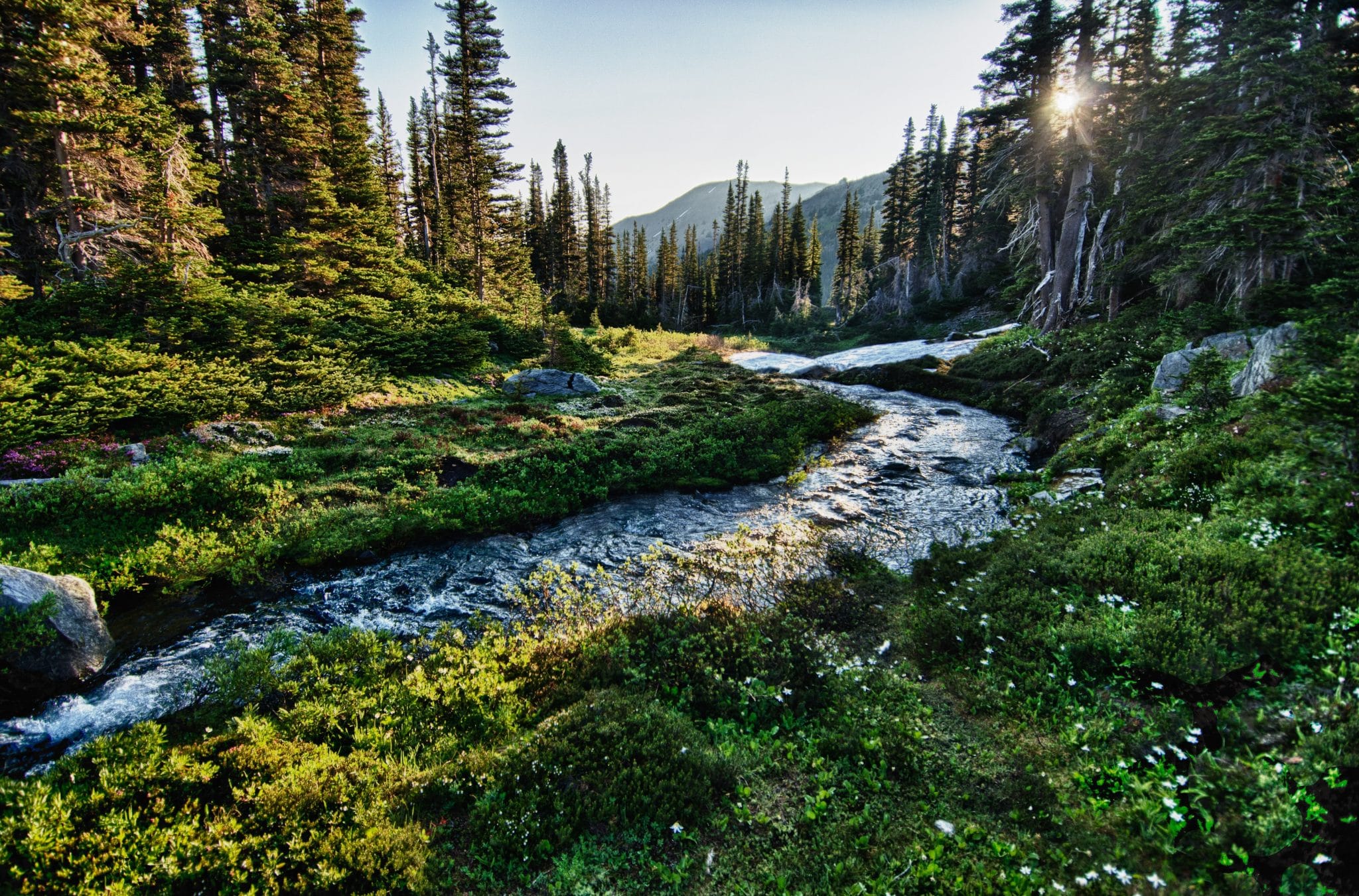 1762197408_1_OlympicNationalPark-2048x1351.jpg