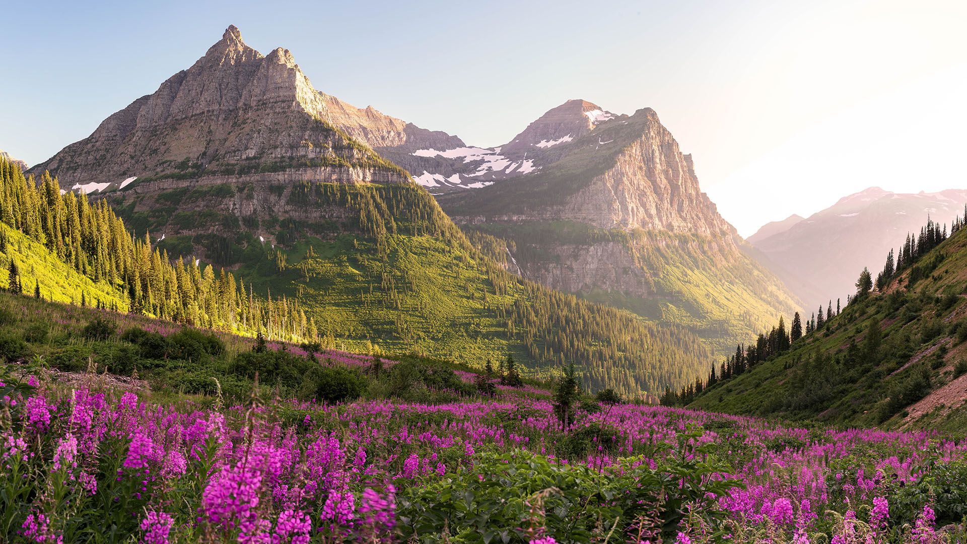1762192815_2_montana_shutterstock_787452973_f6dd111baf.jpeg