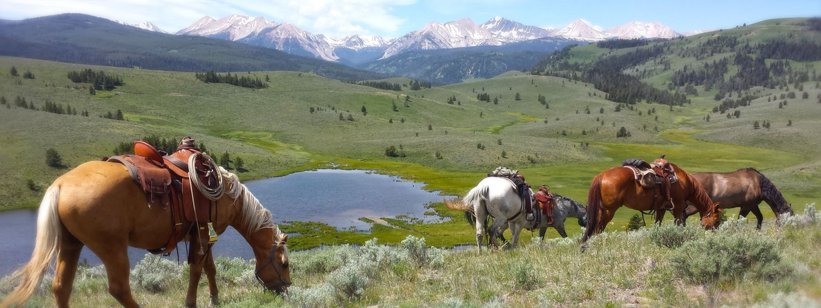 1762192815_5_trailridestop5.jpg