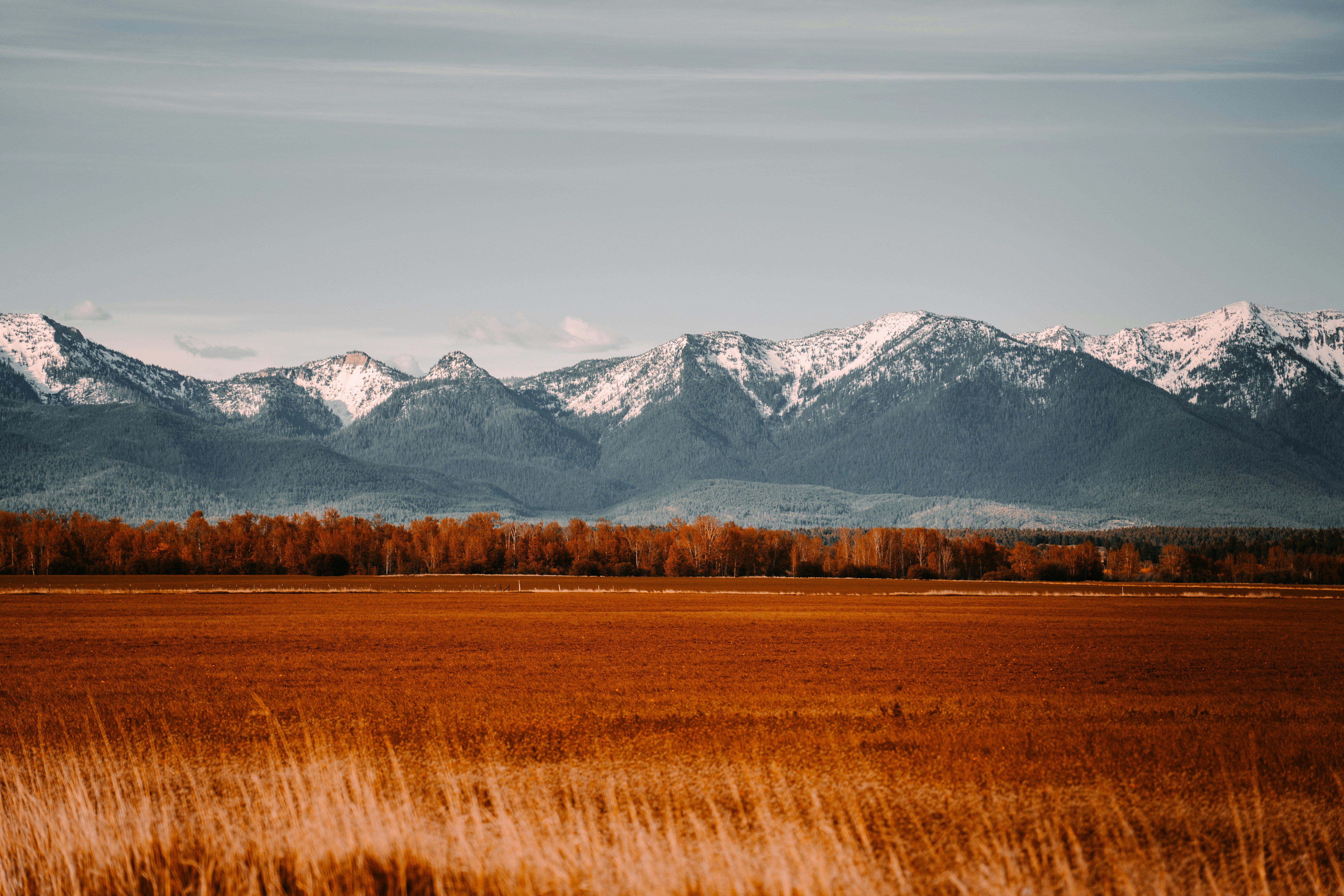 1762192815_6_nick-gardner-mbFDZwd5cz8-unsplash.jpg