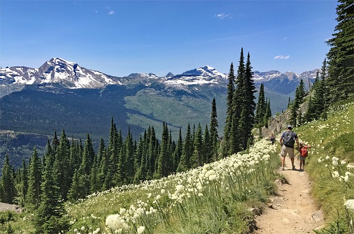 1762192072_2_montana-best-hiking-trails-glacier-national-park-highline-trail.jpg