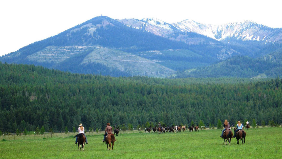 1762191977_3_Rich-Ranch-Gather-1179x666.jpg