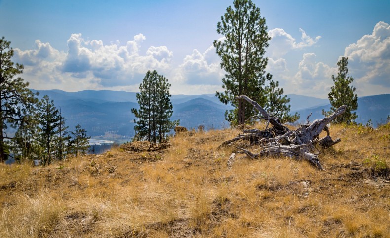 39.5 Acres on Eagle View Road