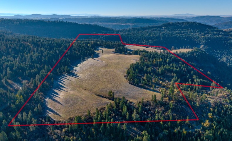 Hidden Meadows 320 acres