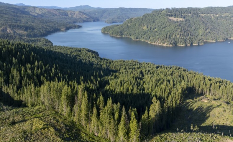 Dicks Creek at Dworshak