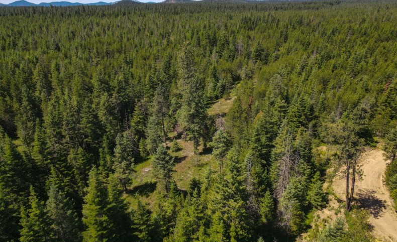 Best Spot on Trigger Lane