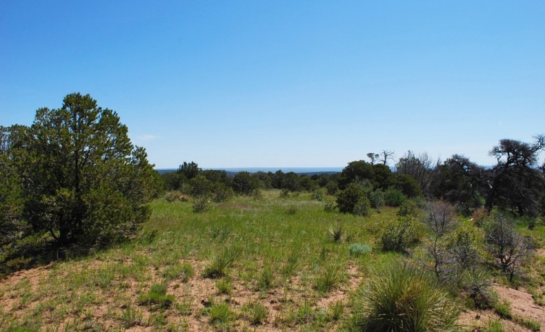 93 +/- acres in Majors Ranch