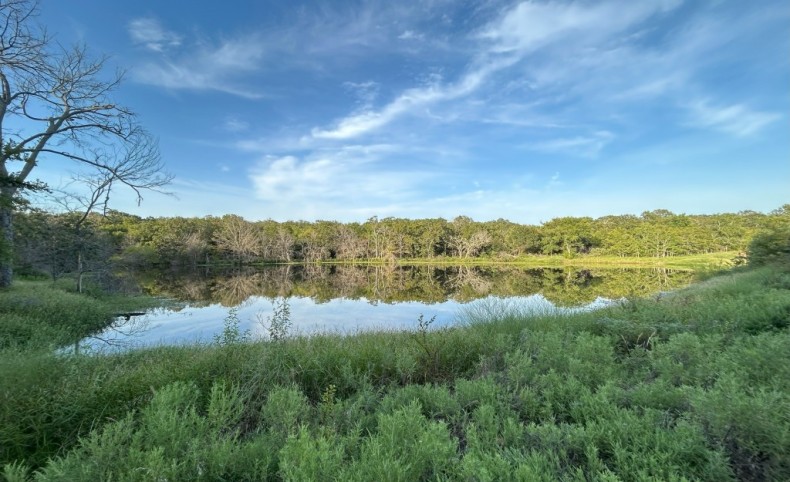 Wildcat Hollow Ranch