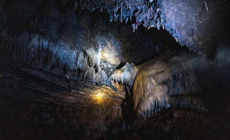 Rare Timber Tract with Historic Cave