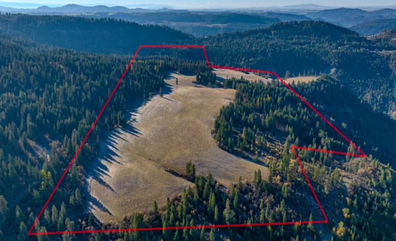 Hidden Meadows 320 Acres