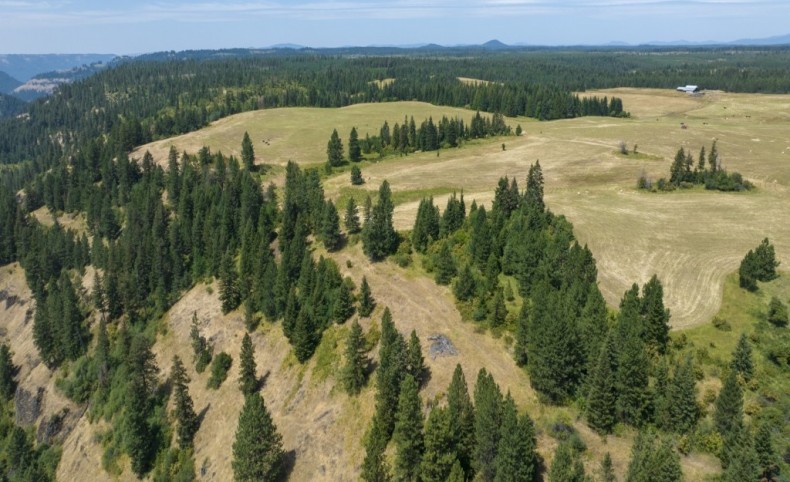 Rocking J Ranch, Parcels 16 & 17