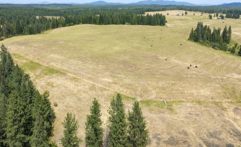 Rocking J Ranch, Parcels 14 & 15