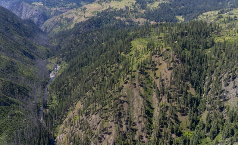 Forest Garden, Parcel 4