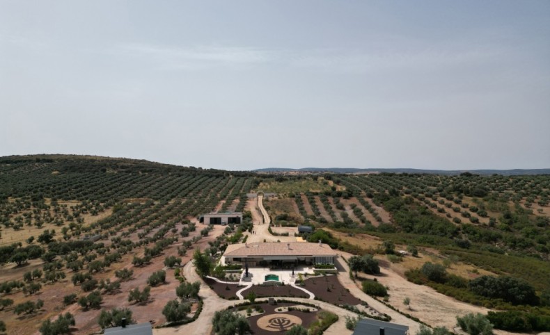 Villamanrique Sporting Property