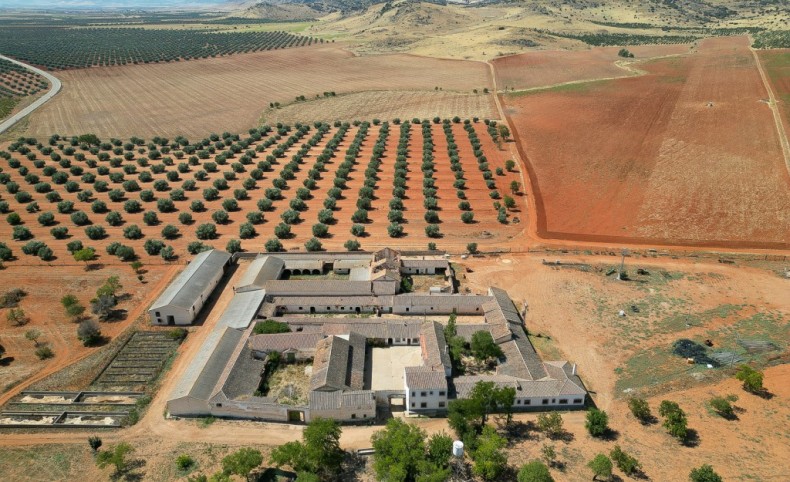 Productive Agricultural Estate