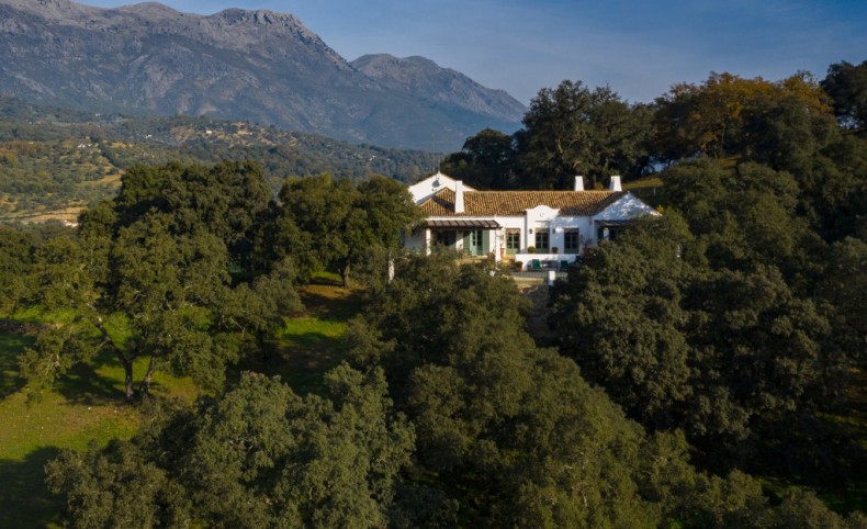 Exceptional Country Estate