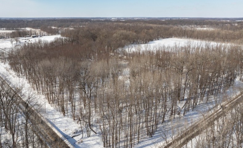 TBD Hagaman Rd, Chesterfield, IL