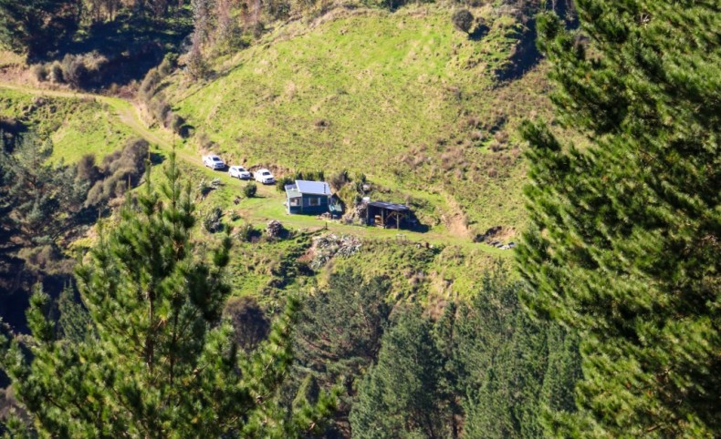 Mangahoe Carbon Farm