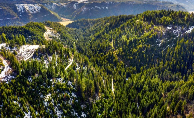 Acreage on the Saint Joe River in N. Idaho