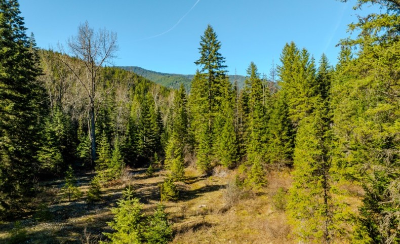 Secluded & Private Pilgrim Creek
