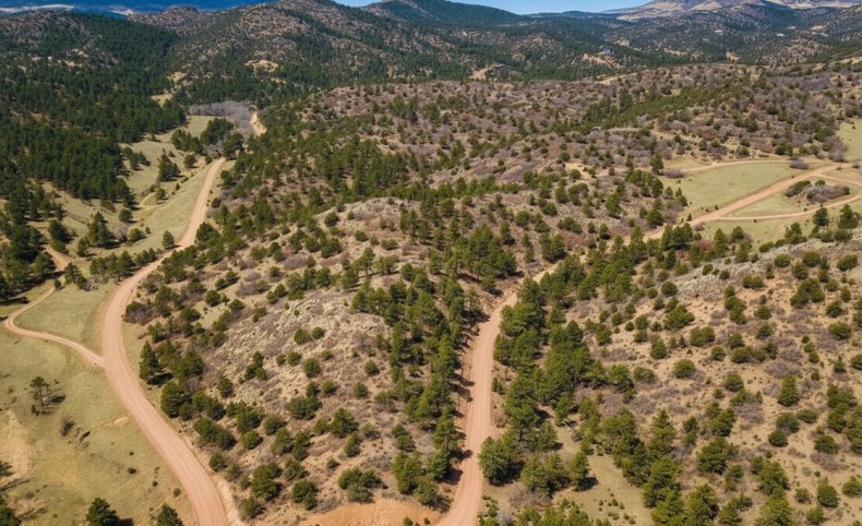 Taylor Trail Overlook