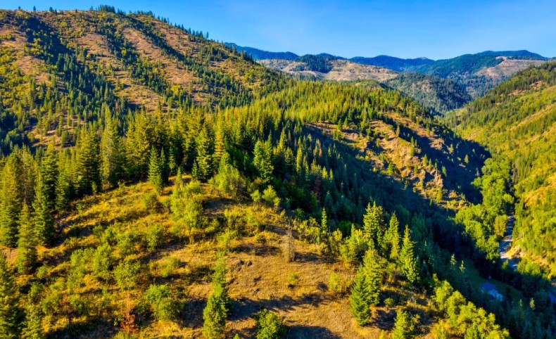 Section A 51833 Silver Valley Road