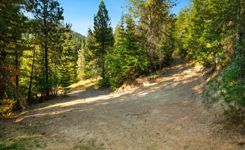 Section D 51833 Silver Valley Road