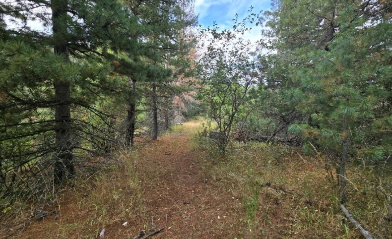 Section F 51833 Silver Valley Road