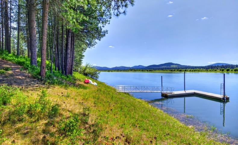 Robins on Pend Oreille