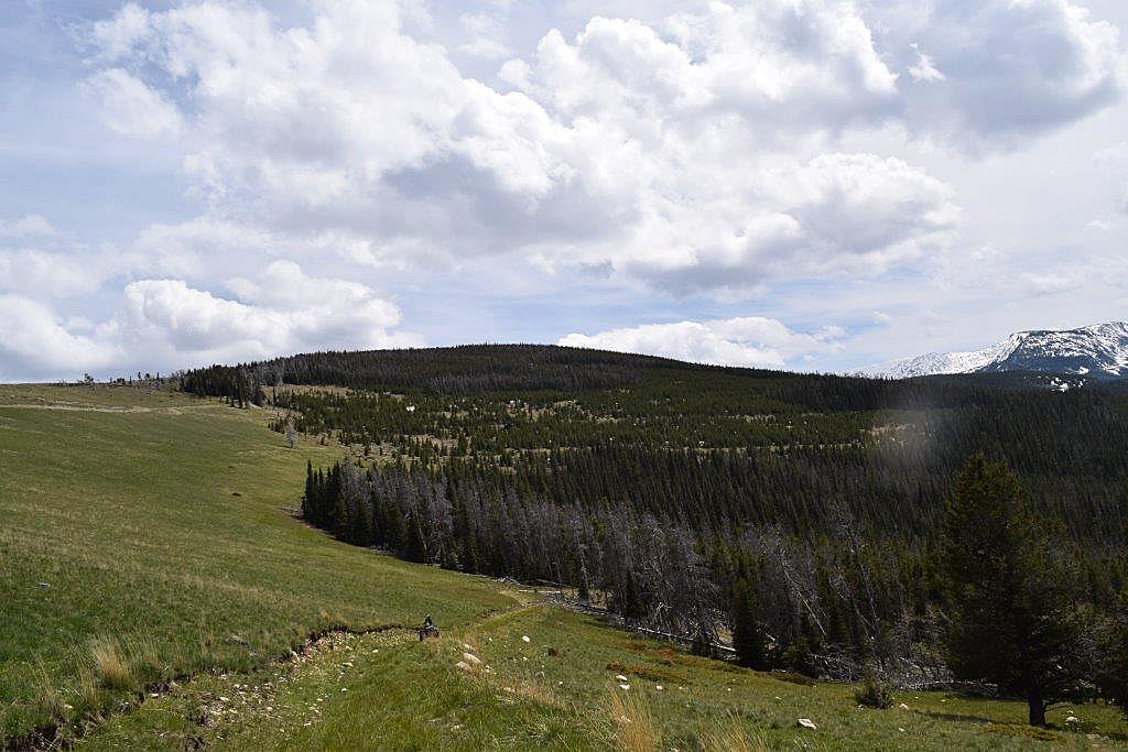 Prime and Wild Elk Habitat