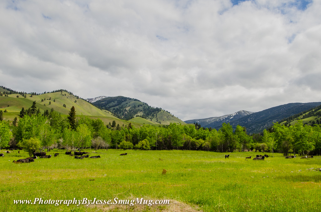 Salmon, Idaho: A Sportsman’s Paradise