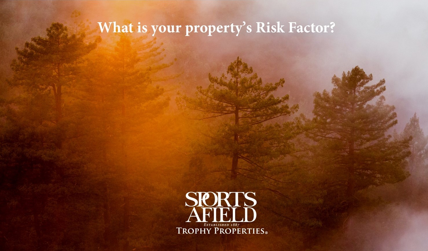 What is your property’s risk factor for flood, fire and extreme heat?