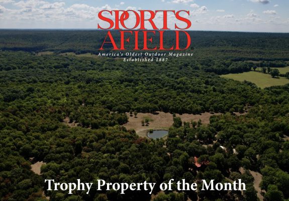 Trophy Property of the Month