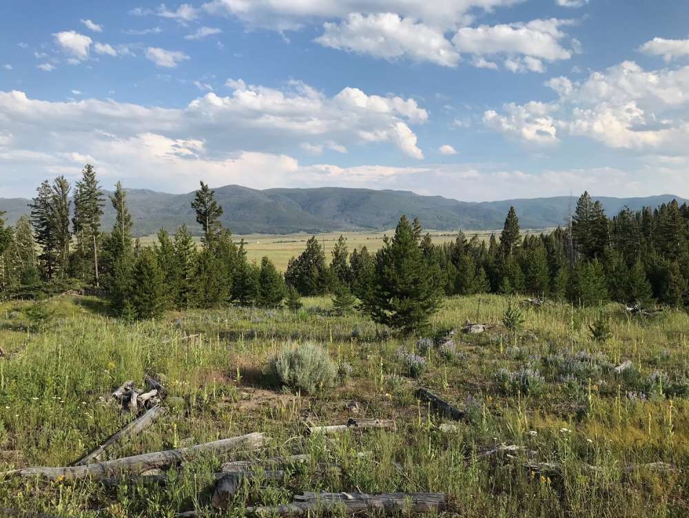 listing-5b736c359bfc7-DB09D94D-2D22-4EF2-AAE2-9898E810C55C.jpeg
