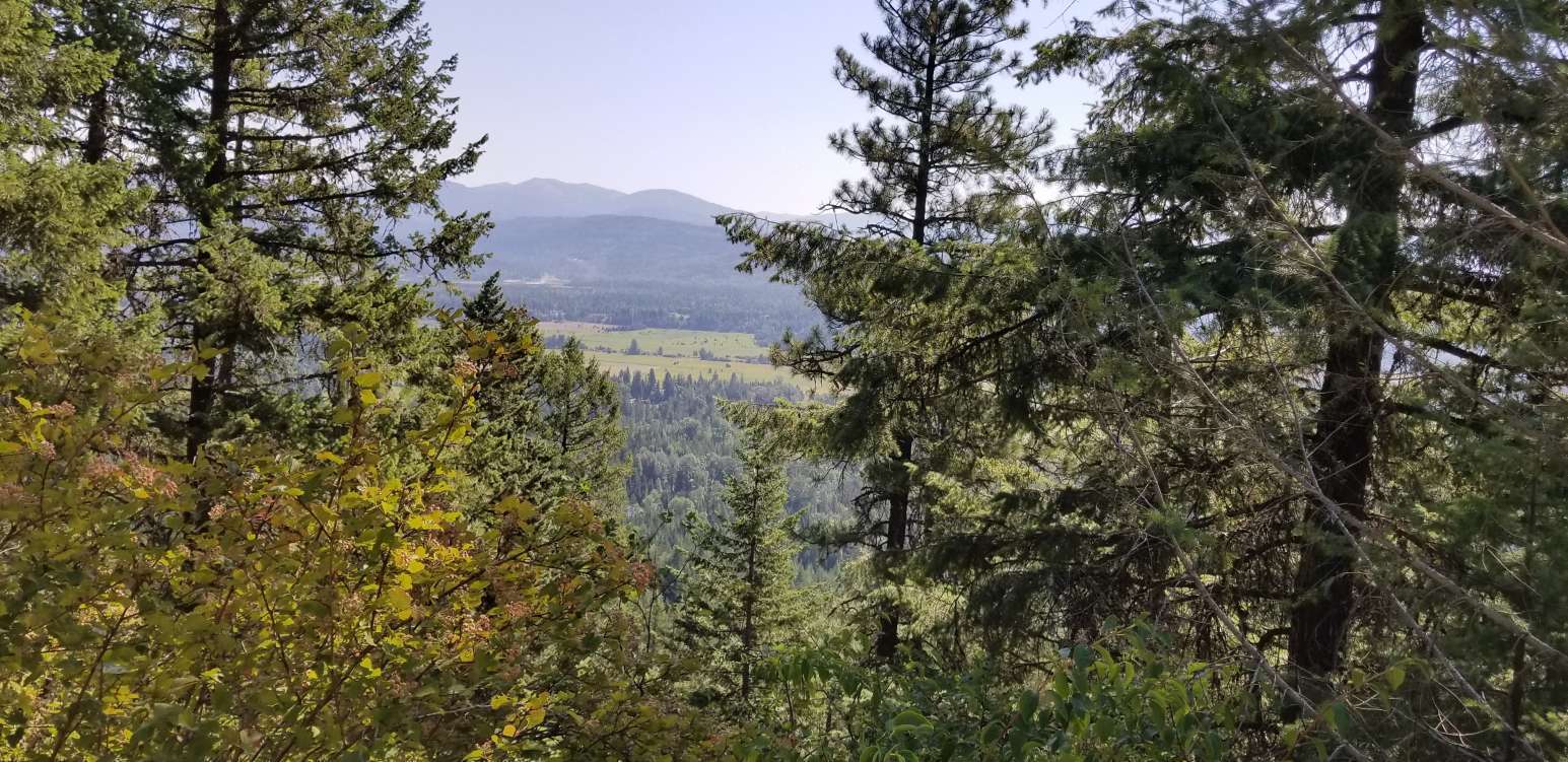 listing-5b7c5d67ee9e0-HellettValleyview2.jpg