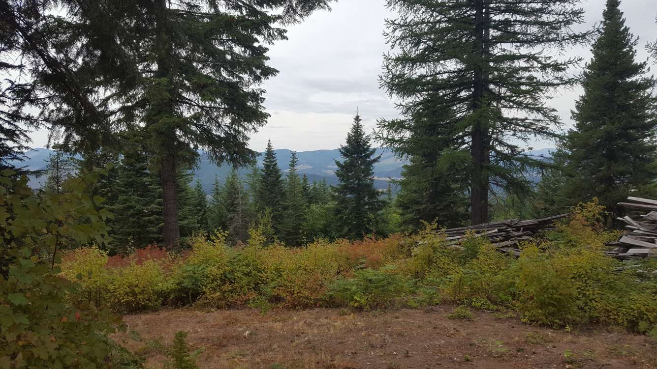 listing-5b8ef41e807a4-20180830_131620.jpg