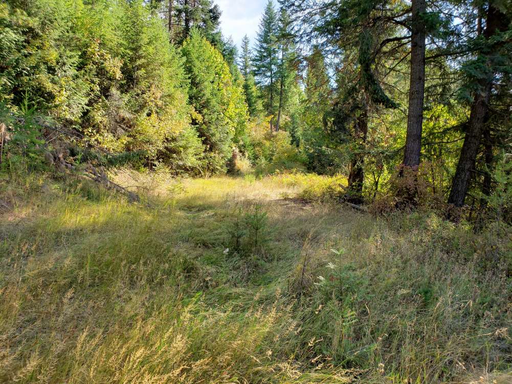 listing-5ba42d47bc306-20180919_153303.jpg