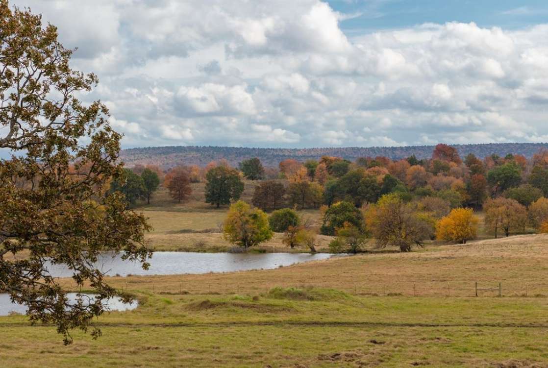 listing-5be208b885f68-2-3770991446.jpg