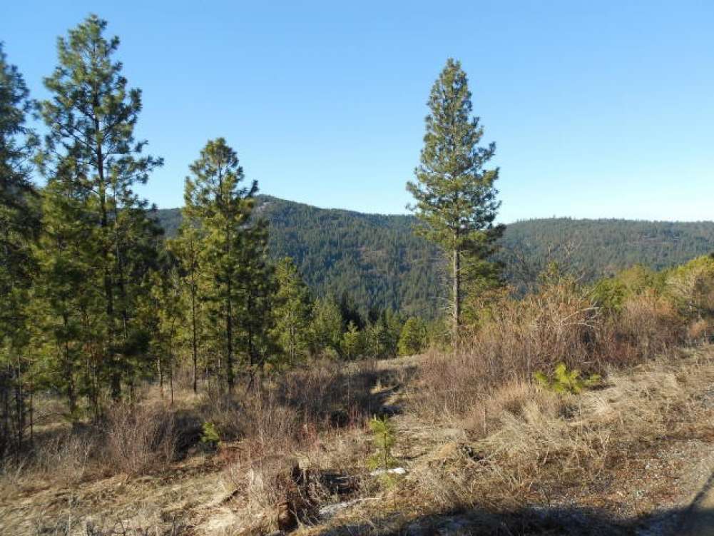 listing-5c528ef5e5a5c-20160210001446281101000000-o.jpg