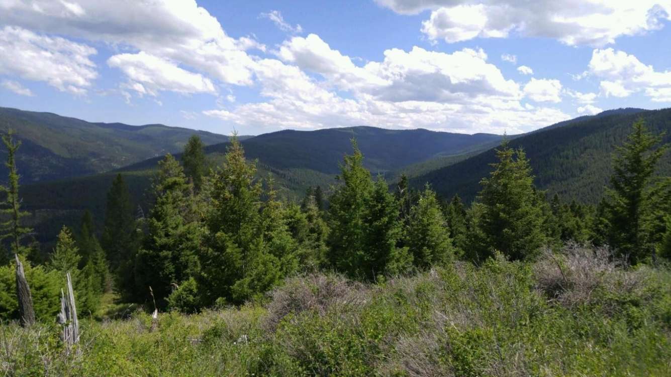 listing-5c881f2c6104a-20160725174141181909000000-o.jpg