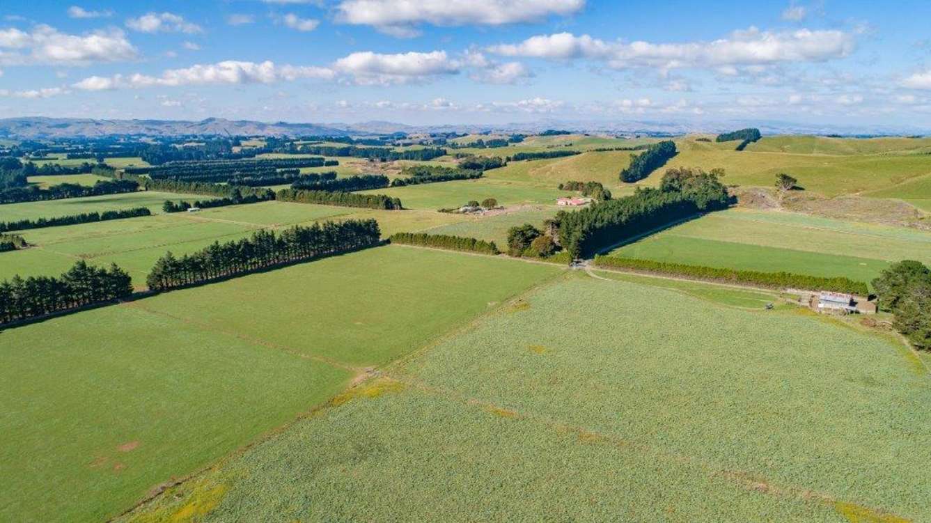 listing-5cbfcfaadaa92-1-Pukerimu-24-5120x2875.jpg