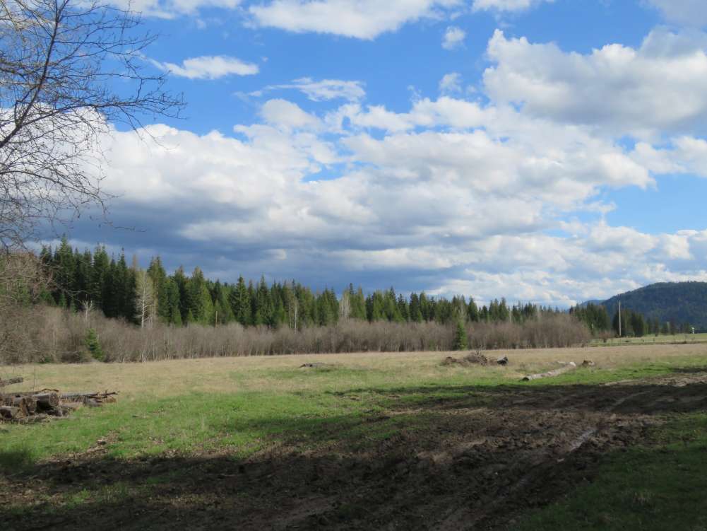 listing-5cc779740d1b0-21905201.jpg