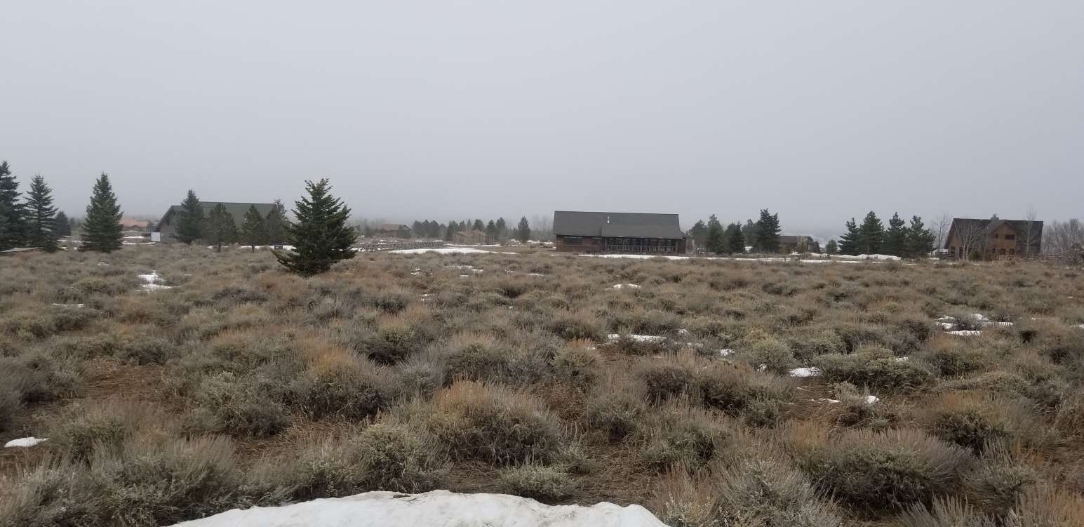 listing-5ccc9b2cea125-292298.jpg