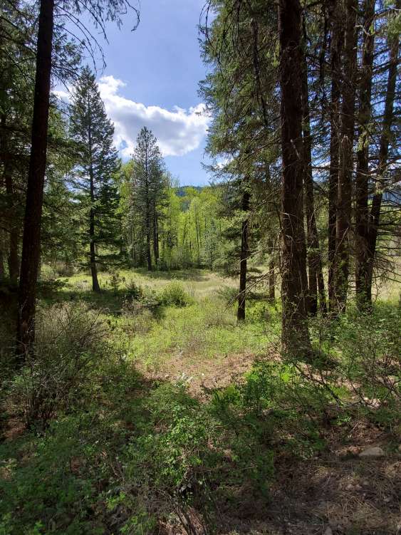 listing-5cd30f79e6c93-20190505_140159.jpg