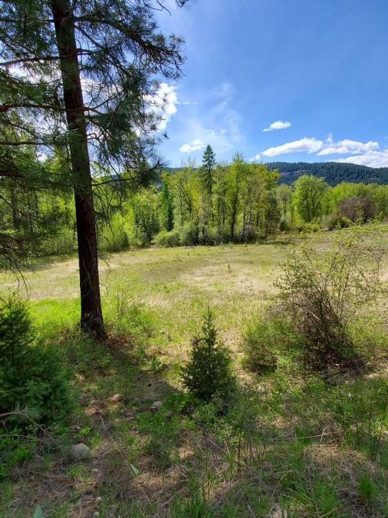 listing-5cd3101c1b55b-20190505_140233.jpg