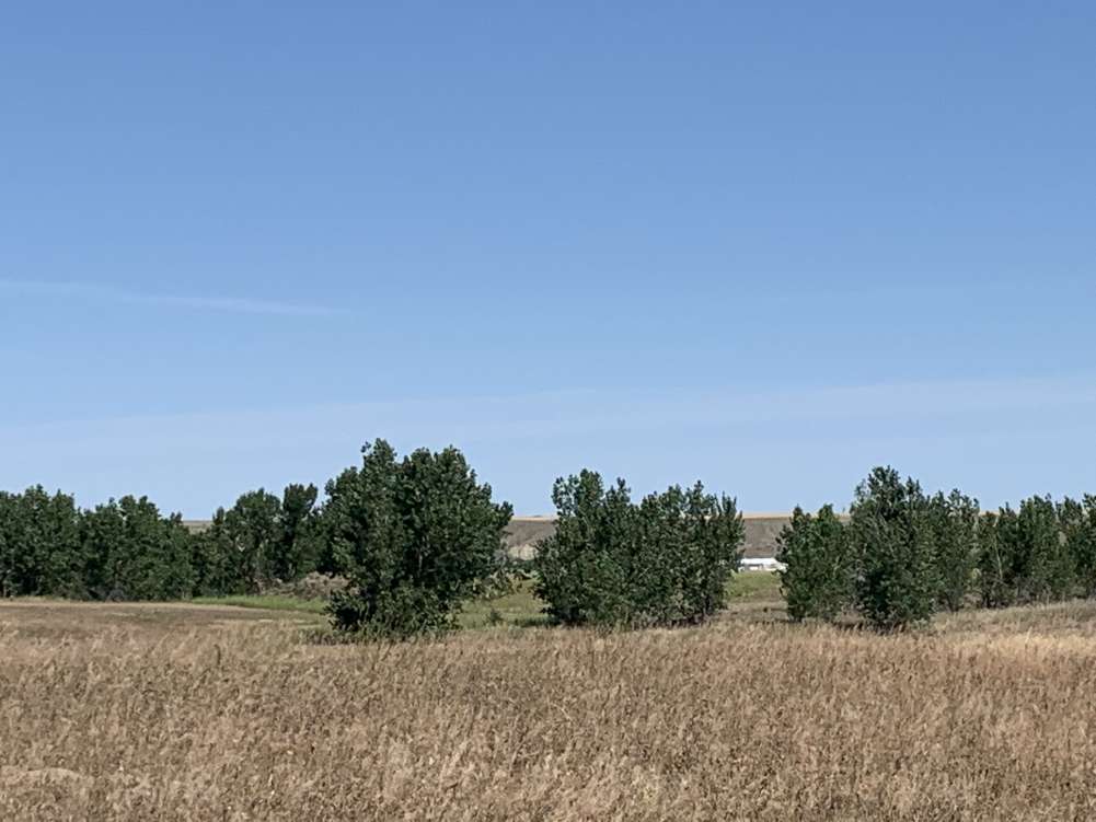listing-5d41a9a900370-PhotoJul29112051AM.jpg