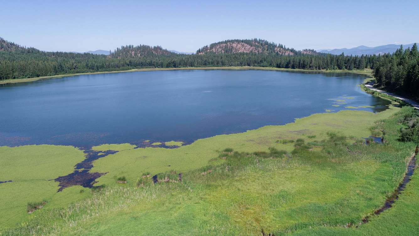 listing-5d44ced81582d-DJI_0018.jpg