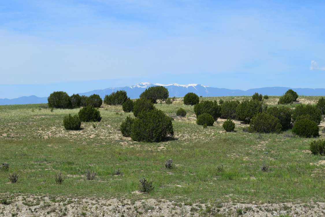 listing-5d5484aa8e7c0-2015-06-0222.34.41.jpg