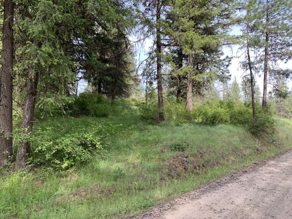 listing-5ef511c6bfaa3-IMG_2484.jpg